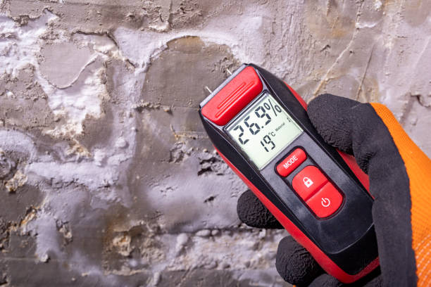 Best Certified Mold Removal  in Pleasanton, TX