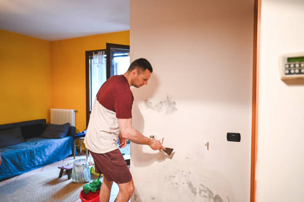 Best Toxic Mold Removal  in Pleasanton, TX